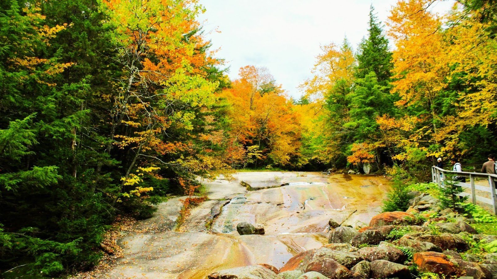 Nature & Hiking Day Trips